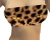 Gold Eyed Cheetah Tube