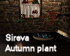 Sireva Autumn Plant 