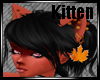 [KK]Fall Fantasy Ears