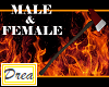 Fire Fighters Axe (M/F)