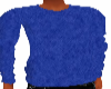 *PRN*Blue Sweater
