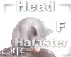 R|C Hamster White Head F