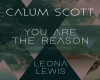 Calum Scott- You Are The
