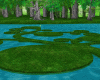 The river in the forest