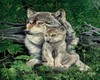 poster wolf