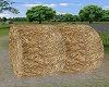 Bale of Hay