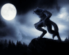Werewolf Moon Guard