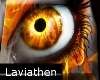Lavi - Fire Eyes Wall