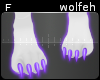 zecha paws