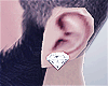 Silv Dimond Earring ▲
