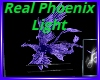 Real Phoenix Light