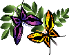 animated butterflies