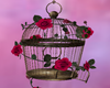 Roses Cage