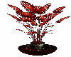 Dark Red Plant