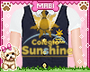 Exc. Blusa Sunshine