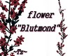 ~Tz~ Flower "Blutmond"