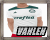 LV**Camisa PALMEIRAS**