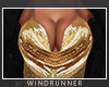 WR! Gold Crop Top