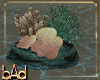 Mermaid Coral 1