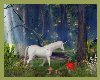 unicorn / woods backdrop