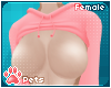 [Pets] Sweater | pink v2