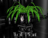 Wolf Plant
