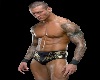 Randy Orton Back Drop