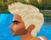 sexy blonde mohawk