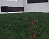 Grass Rug