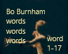 Bo burnham Words part1