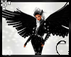Eo* Black Angel Wings