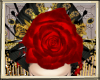 ML Red Rose