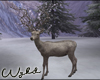 Winter Deer 3
