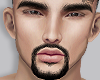Beard ll