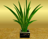 (H)Cool green plant II