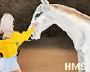 H! Animated Horse