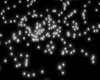 CK Rising White Sparkles