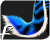 ` Blue TIGER - Tail 6