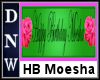 HB Moesha Custom