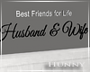 H. Husband & Wife 3d