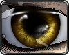 *L iGleam - Brown