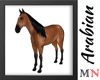 Arabian Horse animated V