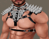 Armour-Harness Add On
