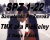 Samotność Po Zmroku