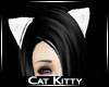 Kitty Cat