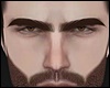 Eyebrows Mesh Brown