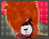 +ID+ Red Panda Hair M 1