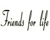 friends for life sticker