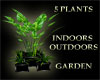 (IKY2) 5 PLANTS IN/OUT G