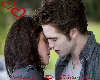 Twilight Romance Rug